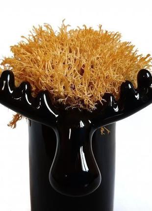 Стабилизированный мох вазон reindeer moss b/222/01/850/10 черный желтый3 фото