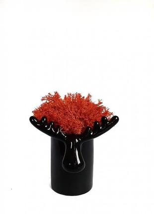 Стабилизированный мох вазон reindeer moss b/222/01/850/10 черный яркий оранжевый1 фото