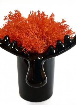 Стабилизированный мох вазон reindeer moss b/222/01/850/10 черный яркий оранжевый4 фото
