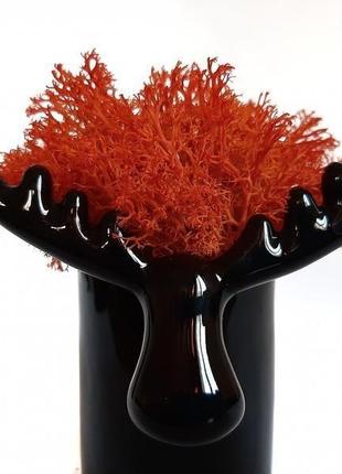 Стабилизированный мох вазон reindeer moss b/222/01/850/10 черный яркий оранжевый3 фото