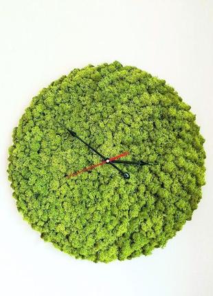 Годинник стабілізований мох reindeer moss b/055/02/500/55 світло-зелений1 фото