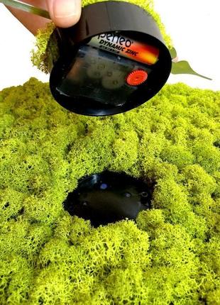 Годинник стабілізований мох reindeer moss b/055/02/500/55 світло-зелений6 фото