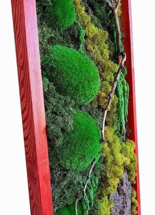 Картина из мха reindeer moss w20/45/04/600 30х90 зеленый3 фото