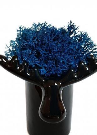 Стабілізований мох вазон reindeer moss b/222/01/850/10 чорний синій4 фото