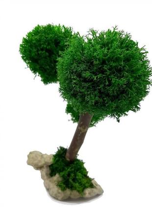 Стабилизированный мох дерево reindeer moss b/33/05/500/24 зеленый2 фото