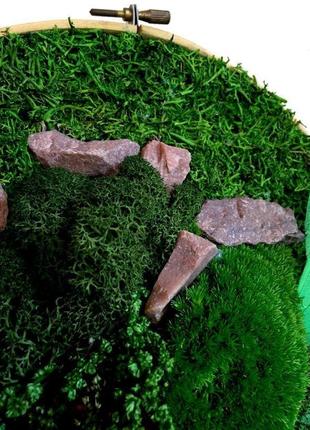 Картина з моху reindeer moss w20/129/04/500/27 зелений4 фото