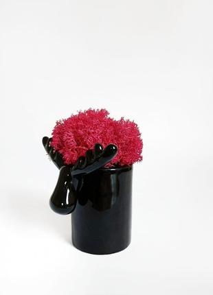 Стабілізований мох вазон reindeer moss b/222/01/850/10 чорний рожевий2 фото