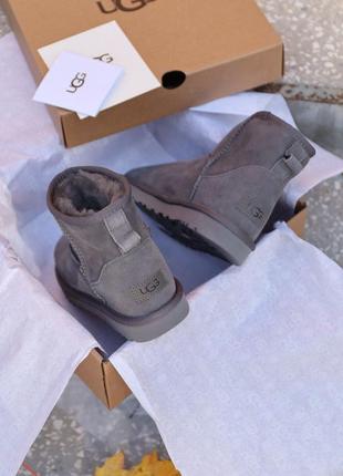 Ugg ngrijire grey, угги жіночі сірі замшеві з хутром