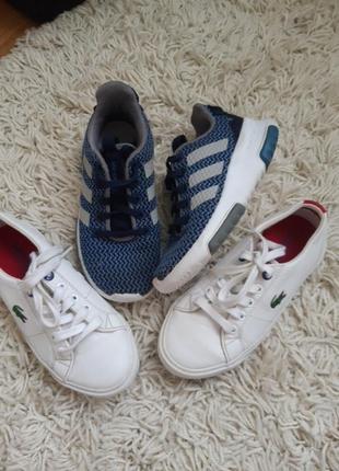 Продам одним лотом adidas lacoste