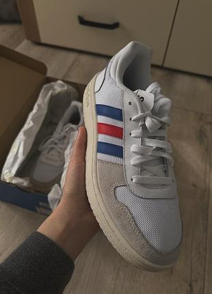 Кросівки  banco adidas essential ab board
