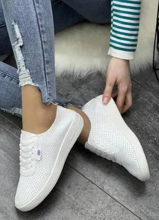 Кросівки жіночі білі літні (в-14-26)