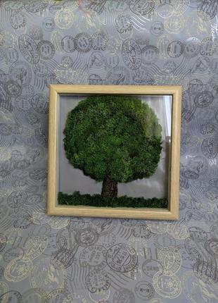 Картина из стабилизированного мха "дерево"