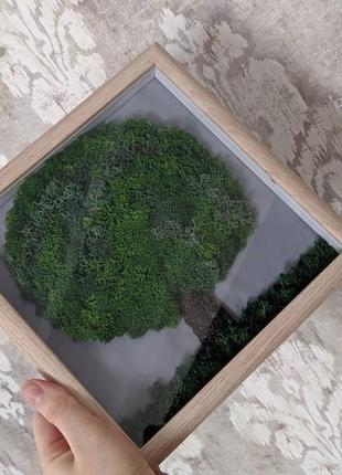 Картина из стабилизированного мха "дерево"3 фото