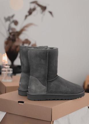 Ugg grey high зимние женские сапоги угг серый цвет