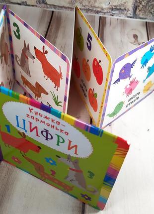 Дитяча книжка-гармонька на картоні "цифри"4 фото