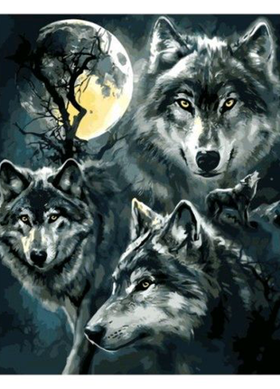 Картина за номерами три вовка 40х50 см