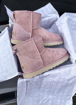 Ugg mini зимние сапоги угги розовые