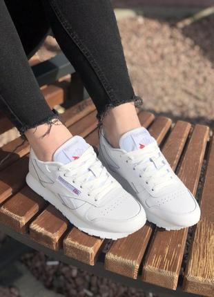 Жіночі кросівки reebok classic білого кольору8 фото