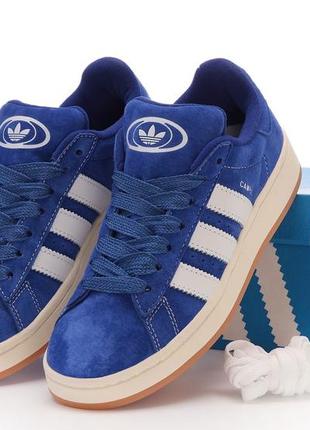 Жіночі кросівки adidas campus blue white адідас кампус синього з білим кольорів