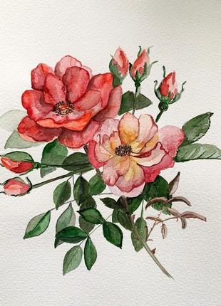 Картина аквареллю «троянди»2 фото