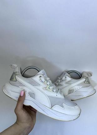 Puma x ray