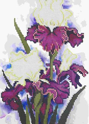 Схема для вишивання бісером магія бісеру прв-039-4 іриси розмір 18*24 см
