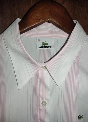 Стильная коттоновая рубашка в полоску lacoste9 фото