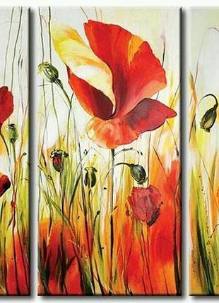 Модульна картина "польові маки"