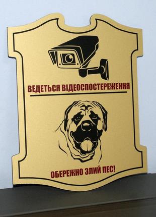 Табличка комбинированная "видеонаблюдение"+"злая собака"