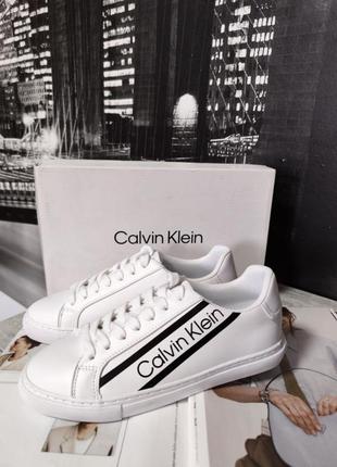 Кеди calvin klein