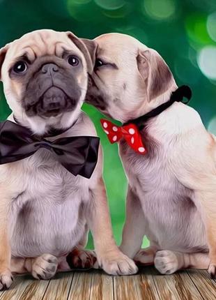 Алмазна вишивка 20*20 собачки