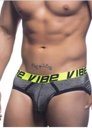 Трусы  vibe frequency от  andrew christian