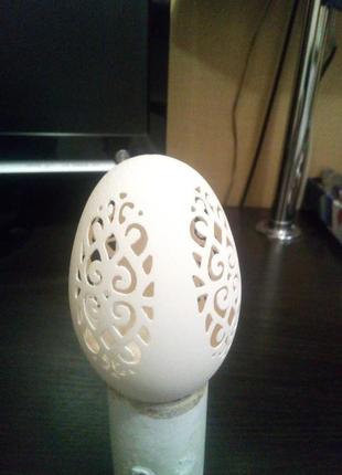 Гравировка на гусином яйце