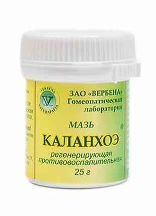 Мазь каланхое від трофічних виразок ран гомеопатична 25 г вербена