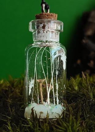 Кулон мини бутылочка с грибами3 фото