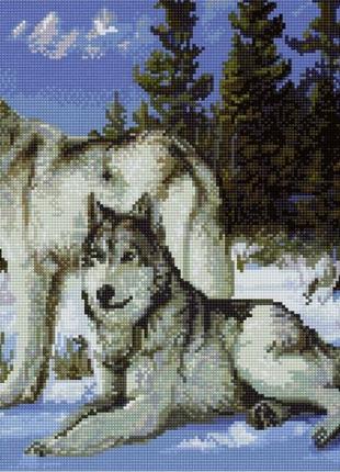 Алмазна мозаїка "вовки на снігу" 40*50 см