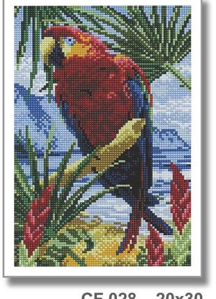 Алмазна мозаїка "папуга" 20*30 см
