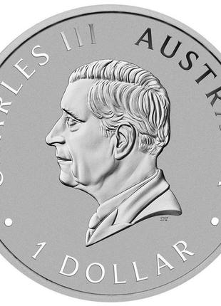 Срібна інвестиційна монета "австралійська кукабарра", 1 долар, 31,1 г чистого срібла, австралія, 20245 фото