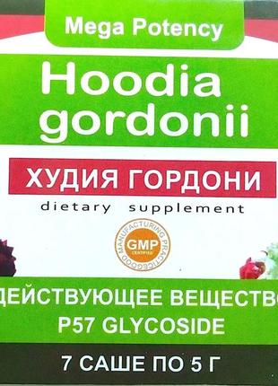 Hoodia gordonii - засіб для схуднення (худія гордоні)