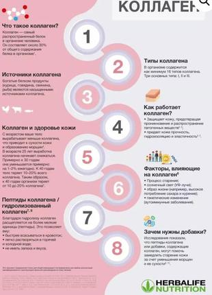 Колаген бьюті, розширена формула крати,   herbalife5 фото