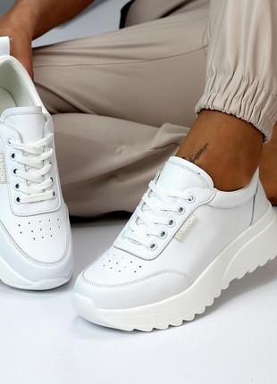 Трендові базові шкіряні жіночі білі кросівки натуральна шкіра