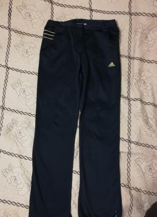 Штани спорт