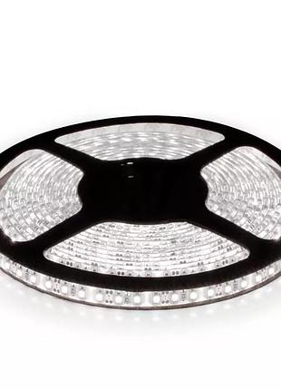 Led-стрічка biom v2 smd2835-120 12 v ip65 стандарт х-бела 1 м