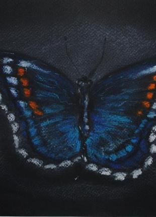Картина сухой пастелью "бабочка"