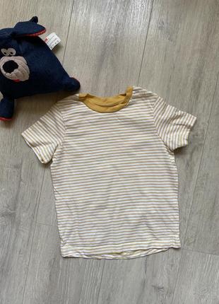 🆗nutmeg 3-4 года