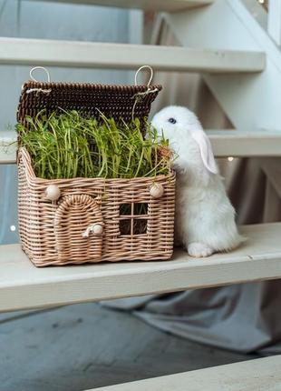 Плетеный домик, домик для кукол, домик игрушек, плетеный фотореквизит