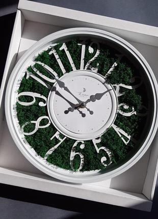 Годинник з мохом1 фото