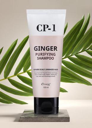 Шампунь для волосся імбирний cp-1 ginger purifying shampoo, 10...