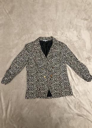 Пиджак