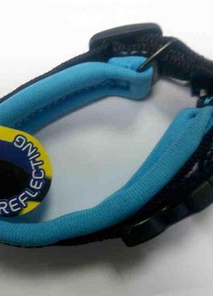 Повідки для собак б/в нашийник
